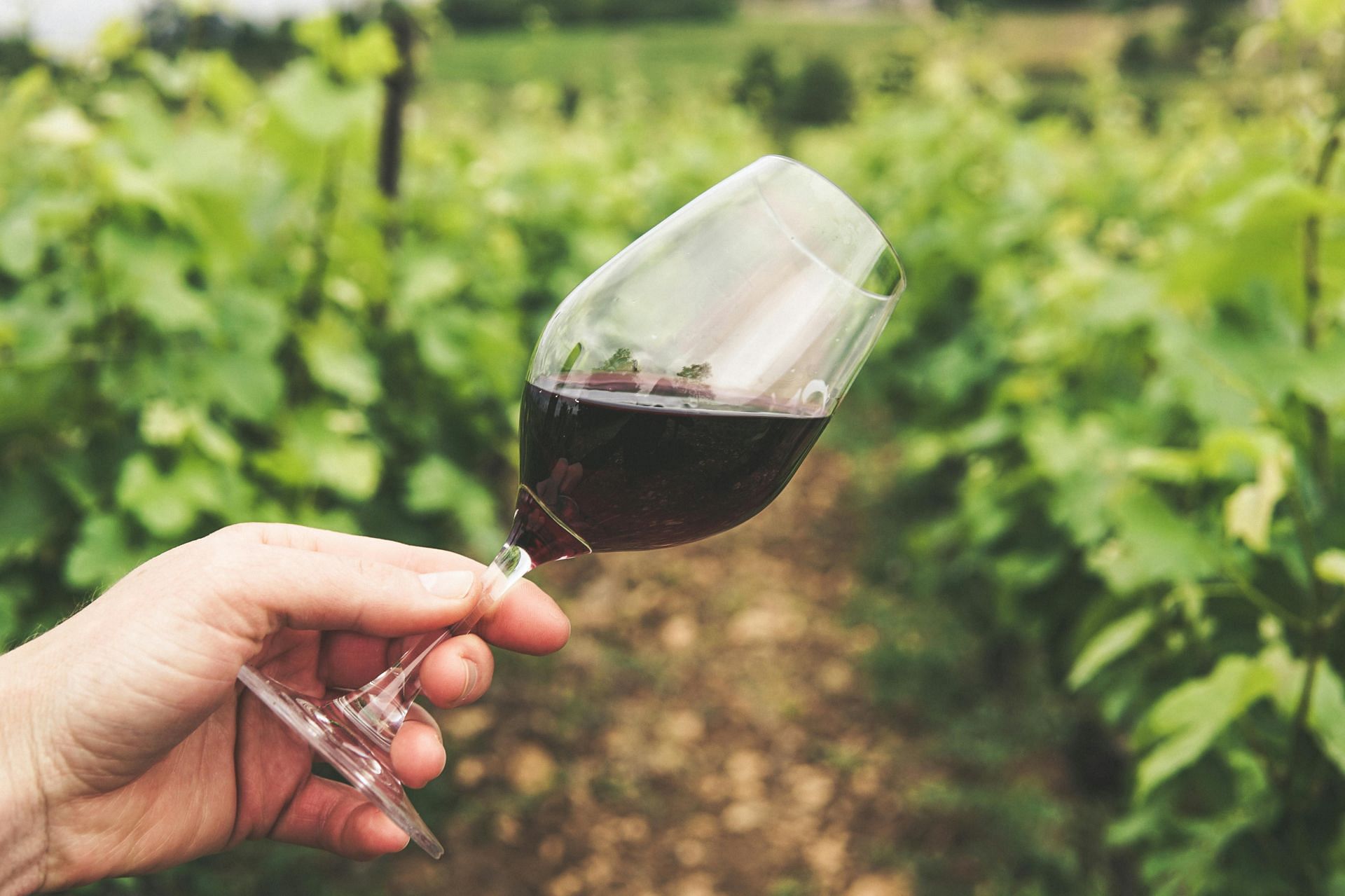Red wine side effects (image sourced via Pexels / Photo by grape things)